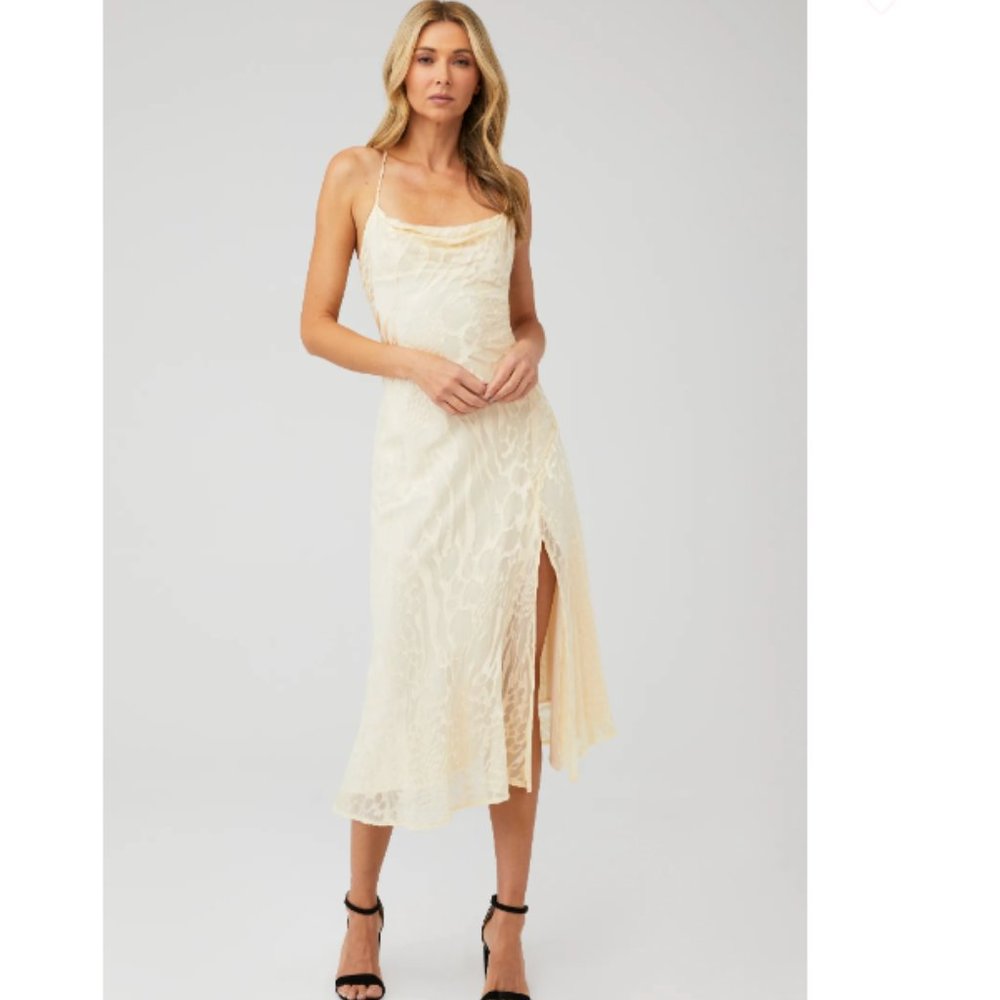 ASTR GAIA BURNOUT FLORAL MIDI DRESS